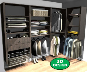 3d rendering corner closet